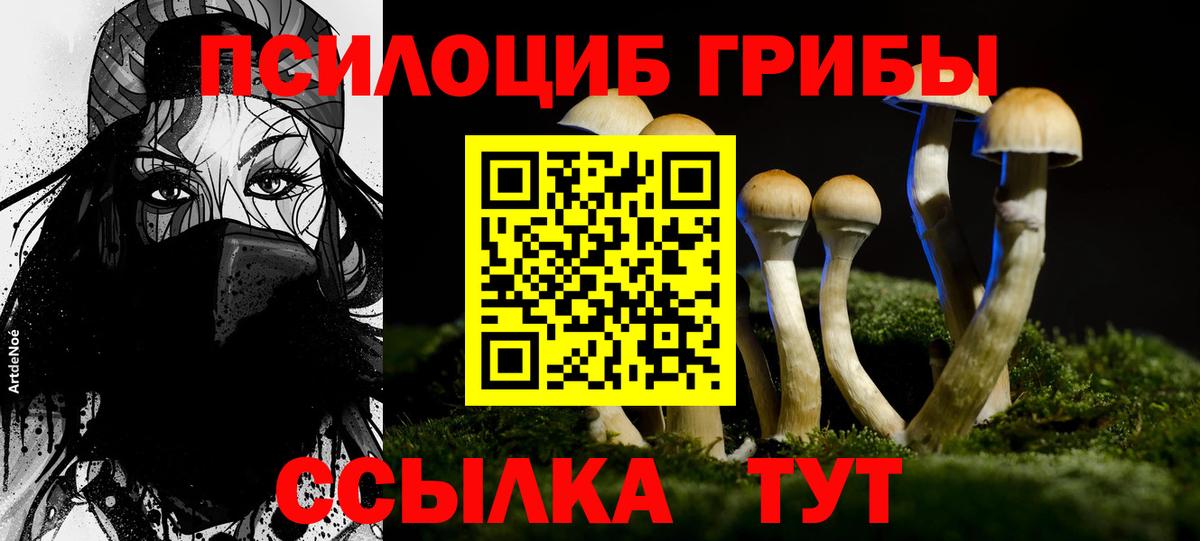 Галлюциногенные грибы Psilocybine cubensis Копейск
