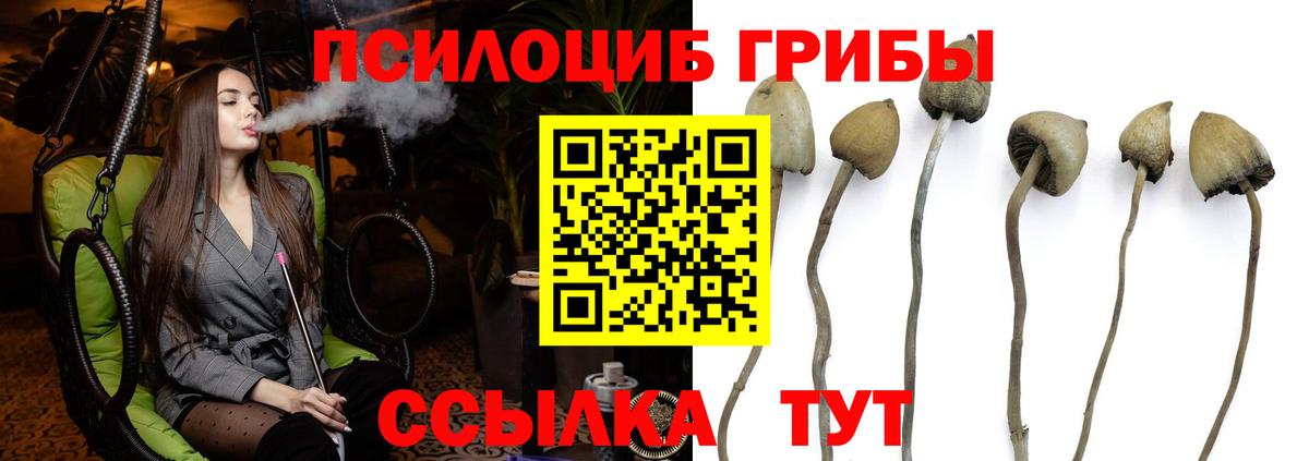 Галлюциногенные грибы Psilocybe  Вход с VPN  Галлюциногенные грибы мухоморы  Копейск 