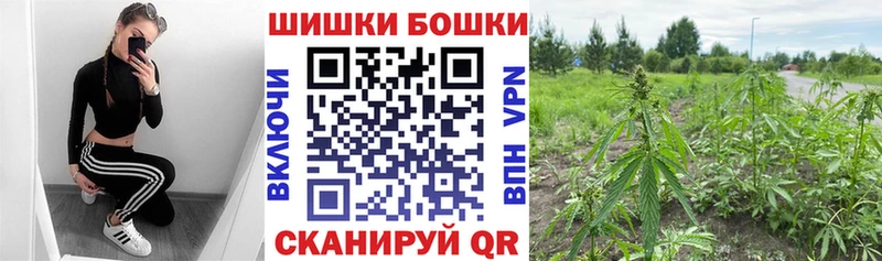 Бошки Шишки семена  Копейск 